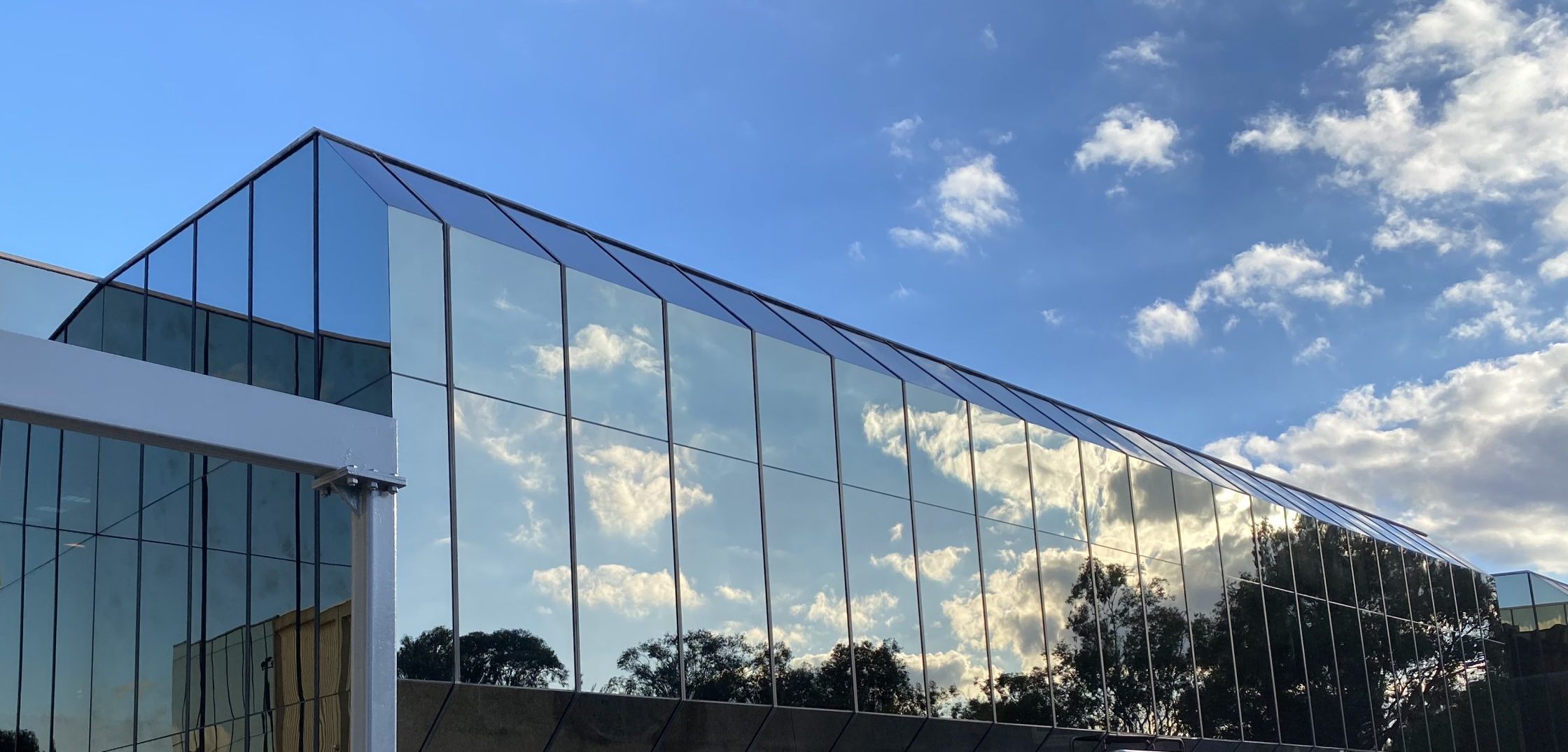 Scratch, stain & graffiti removal, glass revived,
